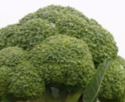 Seminte de broccoli Monfils F1 (2500 seminte)