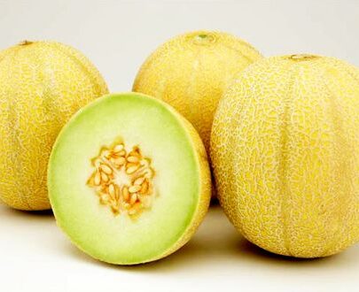 Seminte de pepene galben Aikido F1 (1000 seminte)