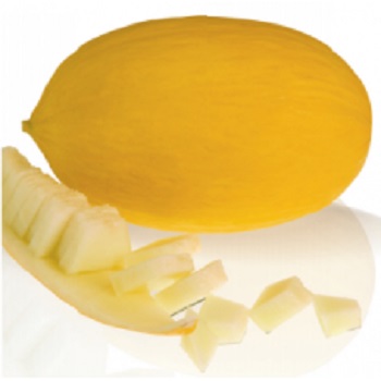 Seminte de pepene galben Frevo F1 (1000 seminte)