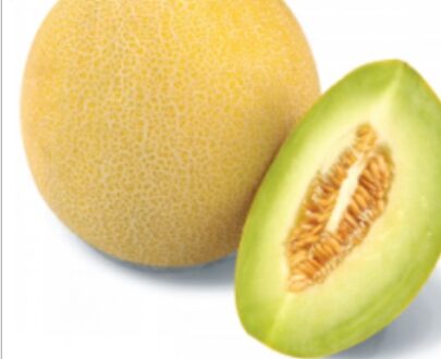 Seminte de pepene galben Tenor F1 (500 seminte)