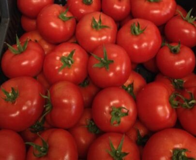 Seminte de rosii Vasanta F1 (1000 seminte)