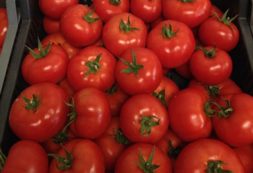 Seminte de rosii Vasanta F1 (1000 seminte)