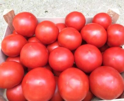 Seminte de rosii Zulfia F1 (1000 seminte)