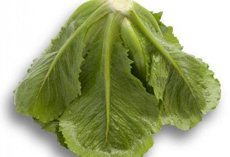 Seminte de salata creata Crunchita (1000 seminte)