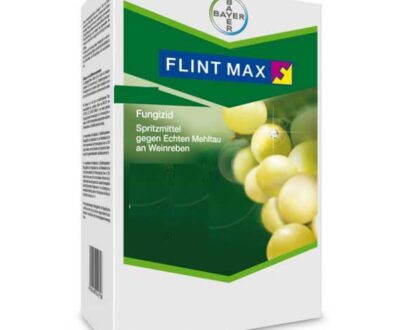 Fungicid Flint Max 75 WG (1kg)