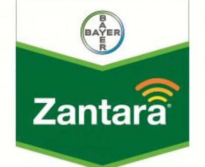 Fungicid Zantara 216 EC (5L)