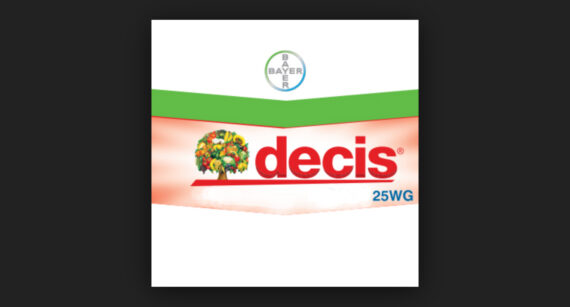 Decis 25WG (600 grame)