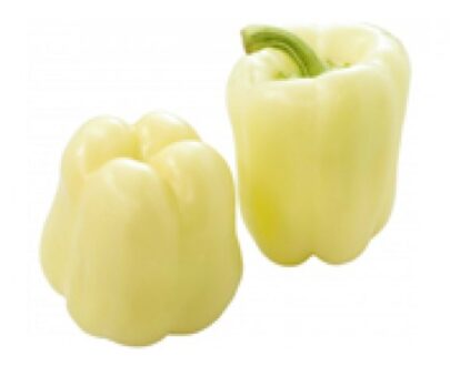 Seminte de ardei gras Salana F1 (500 seminte)