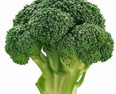 Seminte de broccoli Agassi F1 RZ (2500 seminte)