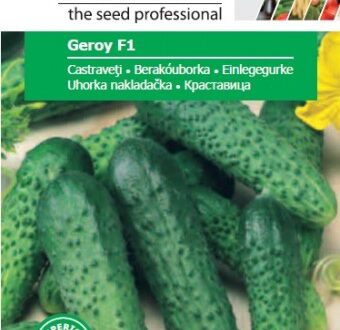 Seminte de castraveti Geroy F1 (500 seminte)