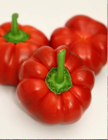 Seminte de gogosar Mercury F1 (1000 seminte)