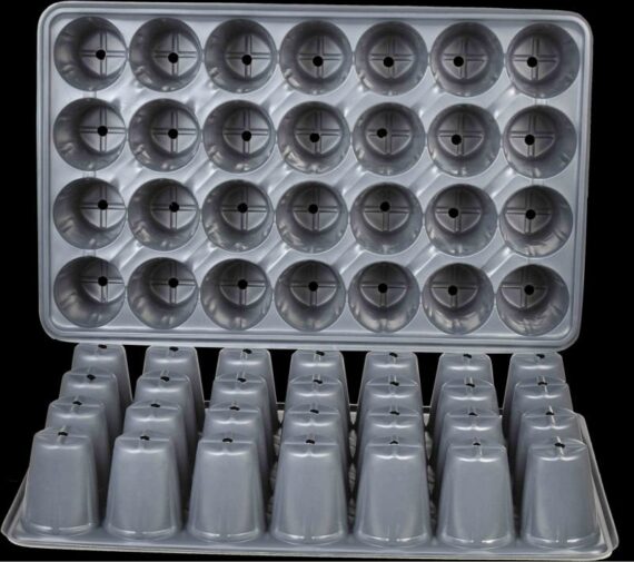 Tava alveolara 28 celule