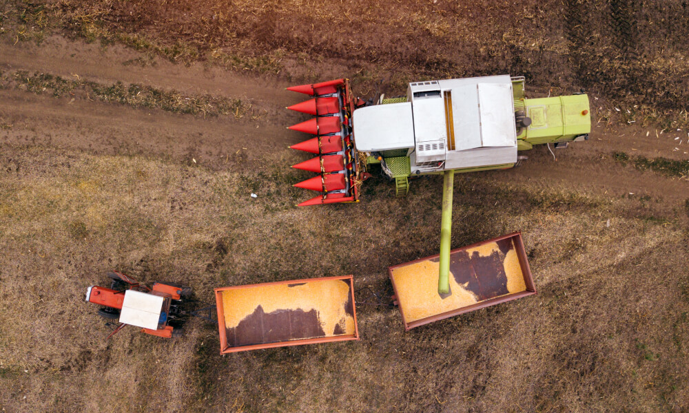 SFATURI PENTRU INTRETINEREA UNEI CULTURI AGRICOLE