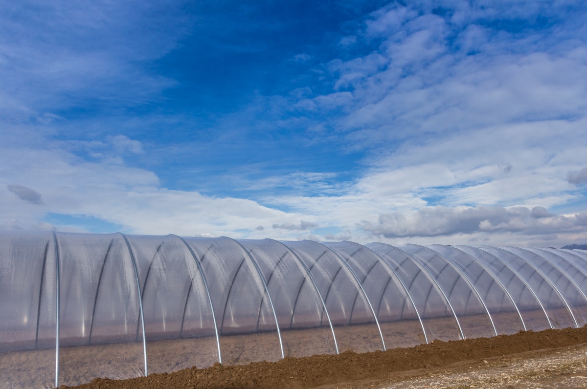 Folia de polietilenă pentru culturi agricole în sere/solarii