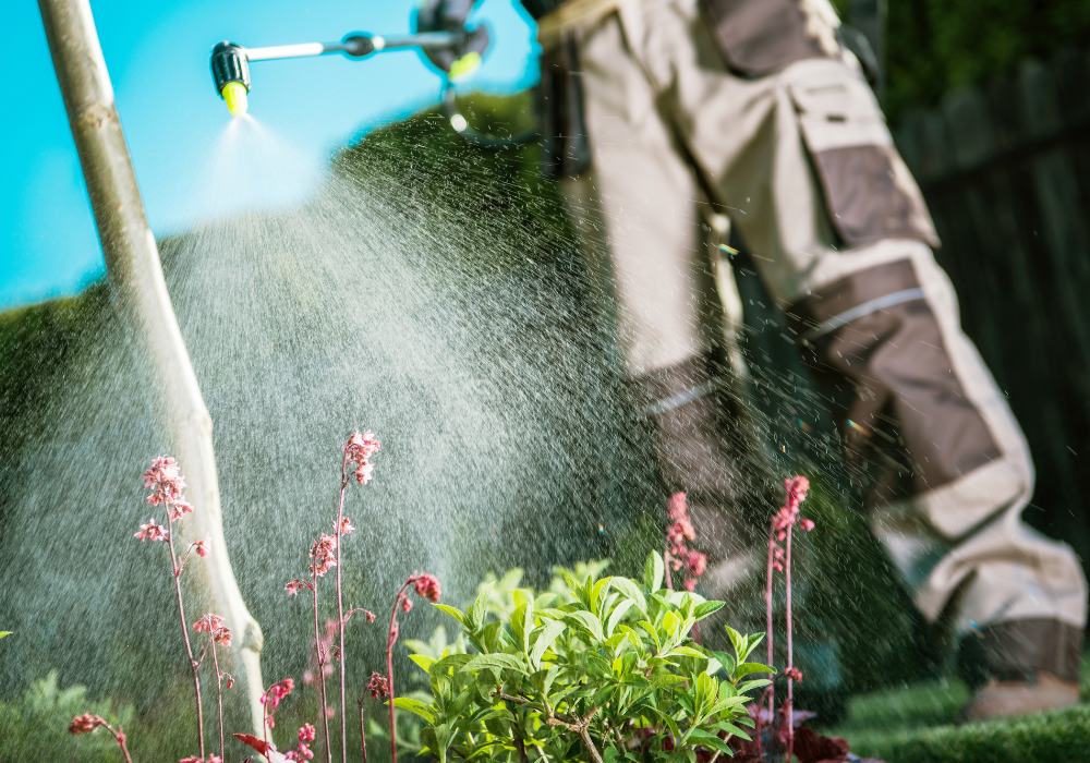 Ghid complet: Ce este erbicidul total si cum functioneaza?