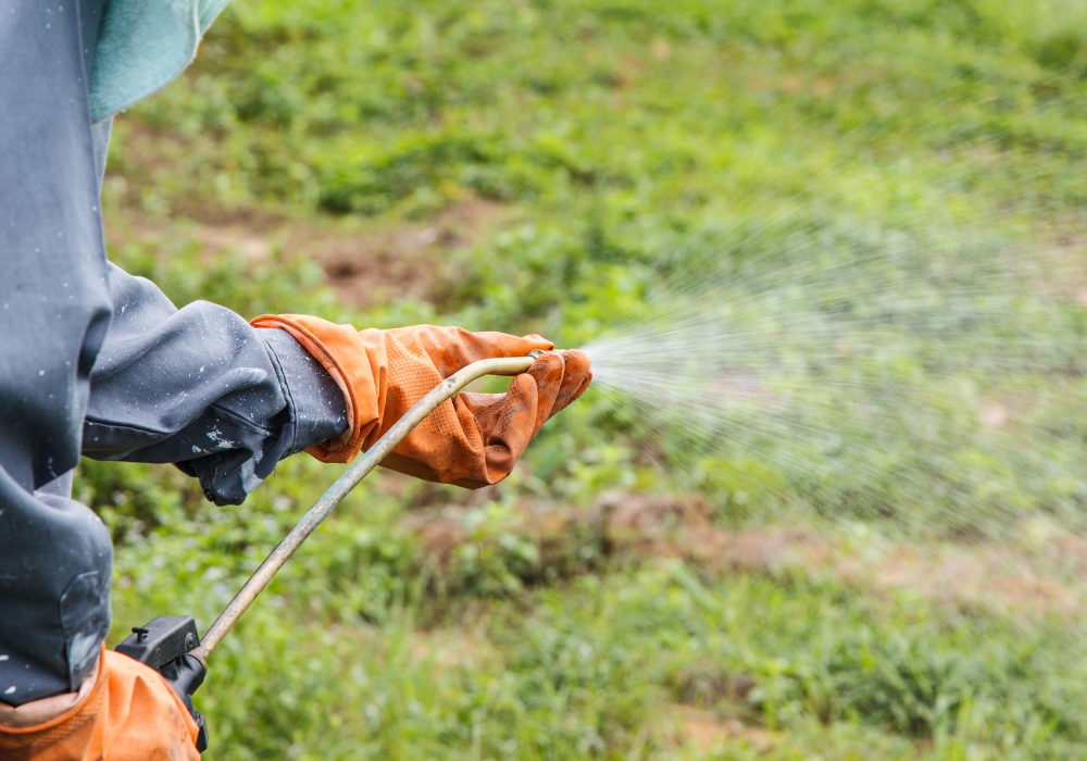 Cand si cum aplici erbicid total pentru rezultate optime? Calendarul tratamentelor si sfaturi practice