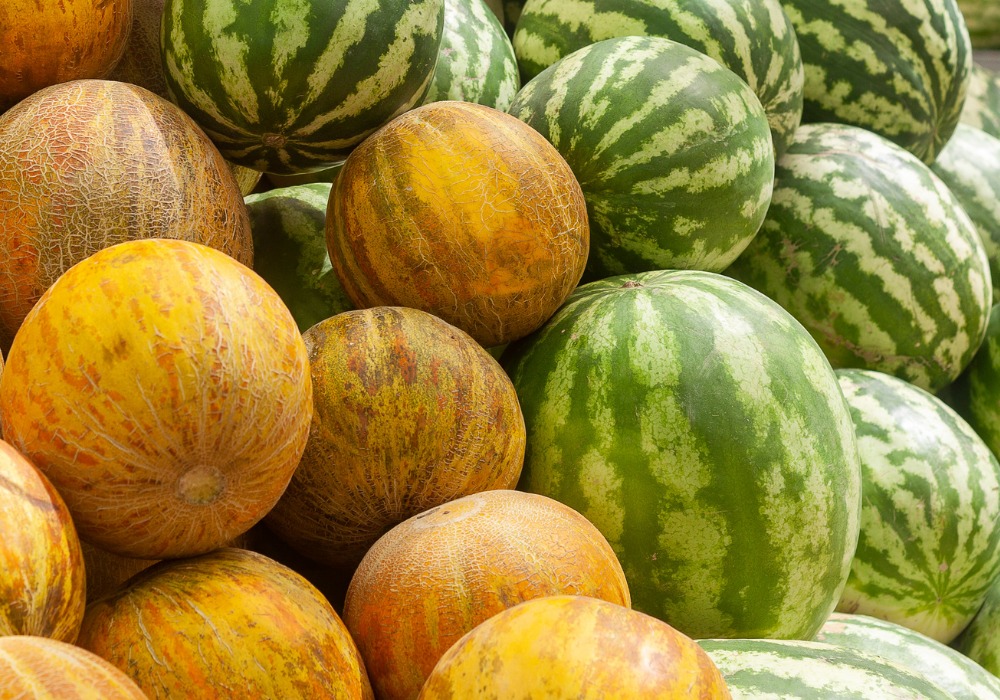 Cum sa alegi cele mai bune seminte de pepeni pentru plantare?