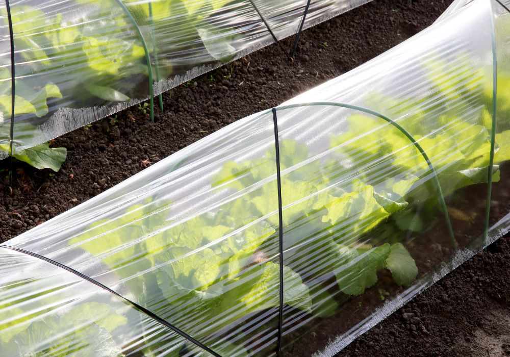 Cat de rezistenta este folia de polietilena in conditii extreme?