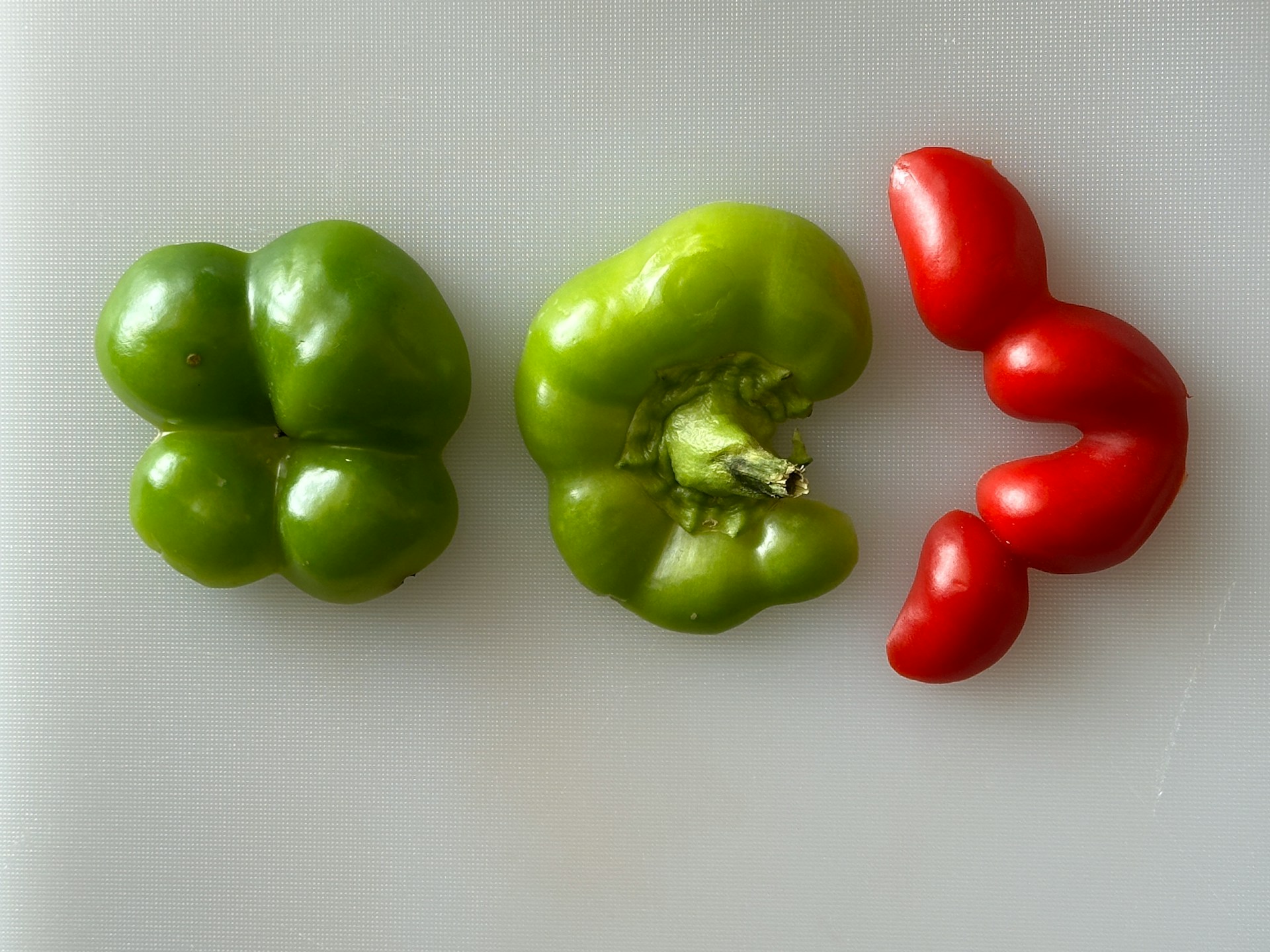 Ghid complet pentru cultivarea ardeilor gogosari – de la seminte pana la recolta